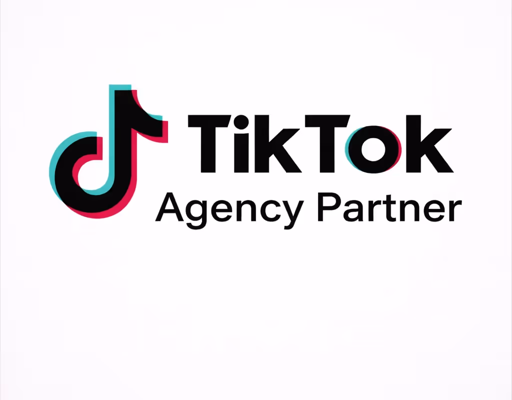 TikTok Ads Partner